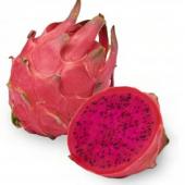 Dragon Fruit Malaysia