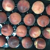 Peaches 20 pcs