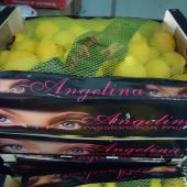 Angelina Lemon