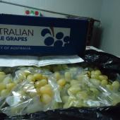 Austrlian Table Grapes