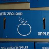 NEW ZEALAND APPLES