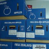 NEW ZEALAND APPLES