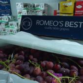 ROMEO BEST GRAPES