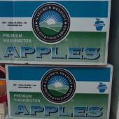 Premium Washington Apples