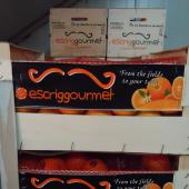 ESCRIG GOURMET ORANGE