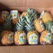 Rompine Pineapples
