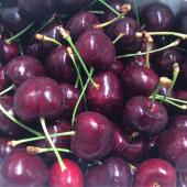 NZ Cherry - 28mm Size