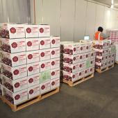 NZ Cherries - 32mm - 34mm Size