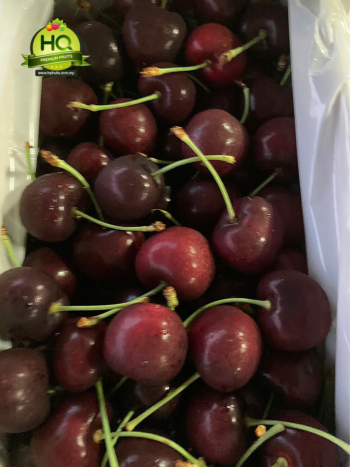 cherry cherry fruit new zealand cherry sweet cherries NZ