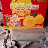 Papagan Gift Pack - Ugly Orange 耙耙柑