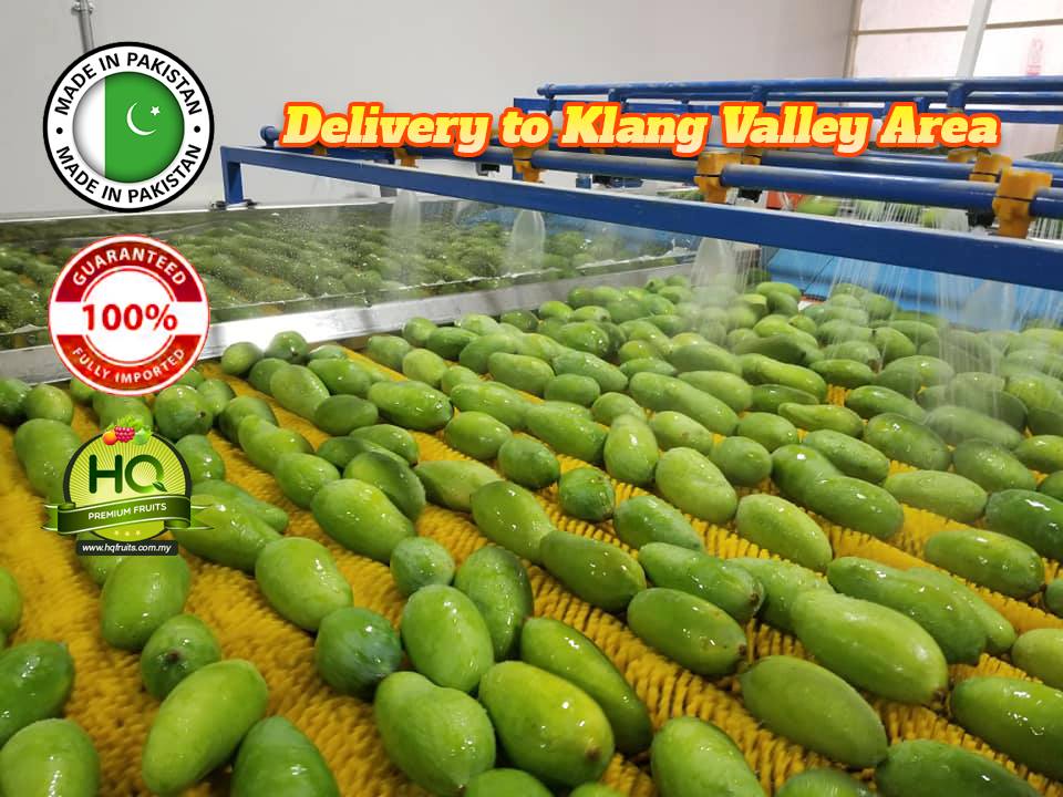 Malaysia Fresh Fruits Delivery Office Fruits Delivery Fruits